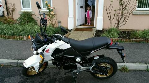 Honda msx 125 msx125 grom grom 125