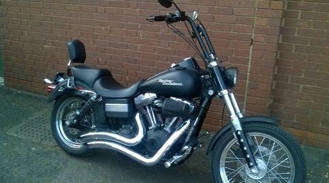 Harley Davidson streetbob custom