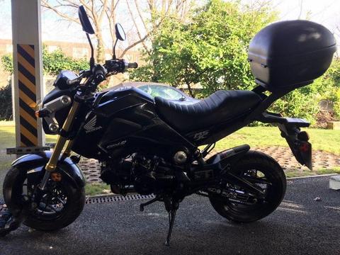 Black Honda MSX 125 (Grom) in great condition