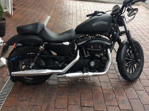 Harley Davidson 883 xl iron for sale