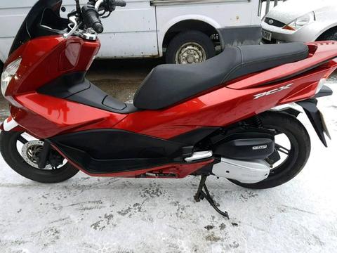 Honda pcx 125 scooter