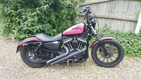 Harley Davidson Sportster Iron XL883N