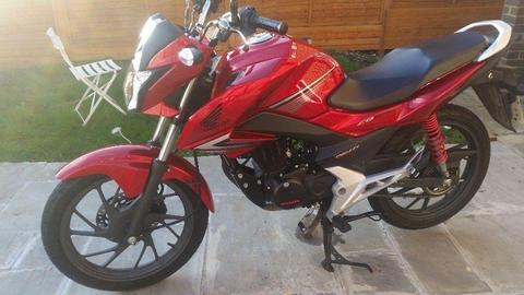 IMMACULATE 2016 HONDA CB125 CB125F CB125 F CB 125F LEARNER LEGAL 125cc!