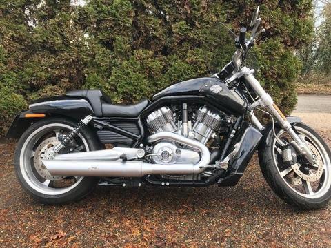 Beautiful vivid black Vrod Muscle Harley Davidson with TAB slip-on's and detachable touring screen