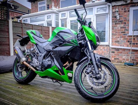 Kawasaki Z300 Performance Edition