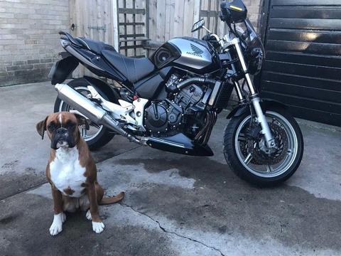 Honda CBF 600cc 2007 Black & Silver 2 owner showroom condition