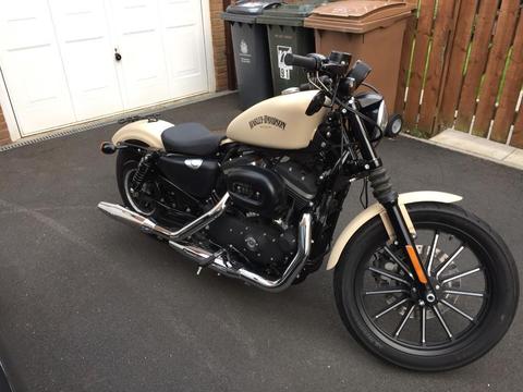 2014 Harley Davidson XL Iron 883 - Denim Sand Camo (Low Miles)