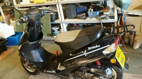 Scooter scout 49 2012