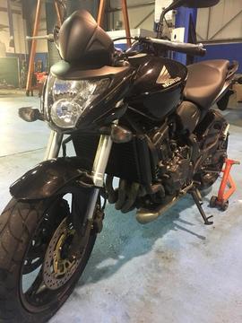 For Sale - Honda Hornet CB600