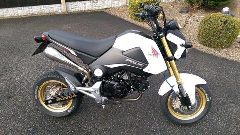 2016 Honda MSX 125 (Grom) with modifications 143cc