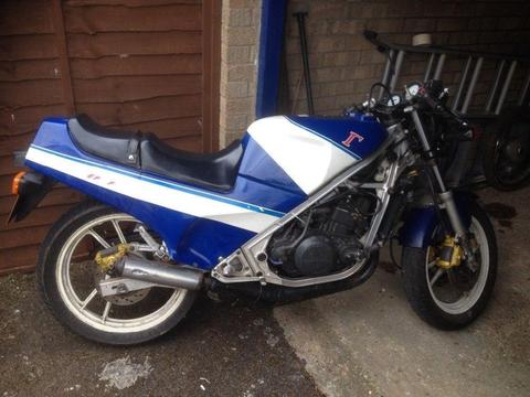 Suzuki rg250 Classic 2 stroke