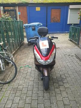 Honda pcx not vision or sh