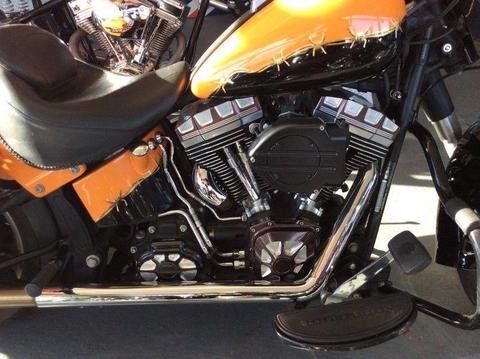 Custom Harley Davidson Fat Boy Bagger 2011 1584cc More Bikes Available