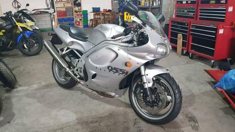 Triumph Daytona 955i 1999 Immaculate Condition Cheaper Part Ex Considered