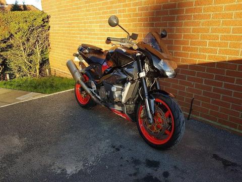 2004 Aprilia Tuono 1000 Fighter, 1 previous owner, Great condition