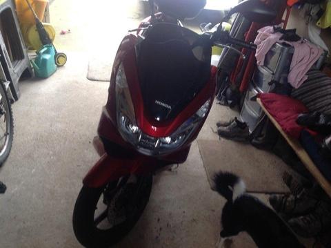 Honda PCX125 low mileage (2170)