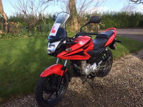 Honda CBF 125cc 2012 Learner Legal,Excellent Condition Throughout,Just Serviced