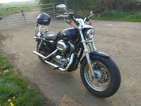 Harley davidson sportster xl 1200 custom