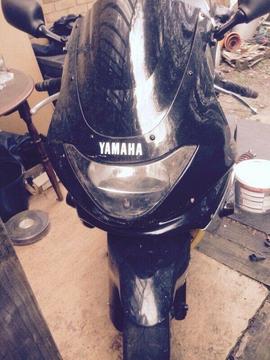 Yamaha thundercat