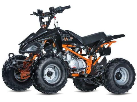 Quadzilla Raging Bull 110cc ATV Quad - 125 and 250cc Quads Available